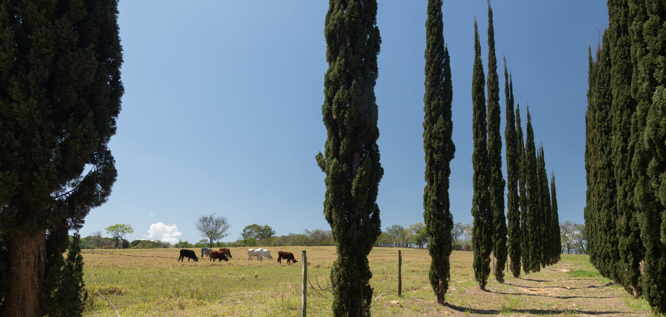 Aluguel casa de luxoIndaiatuba, Villa 03