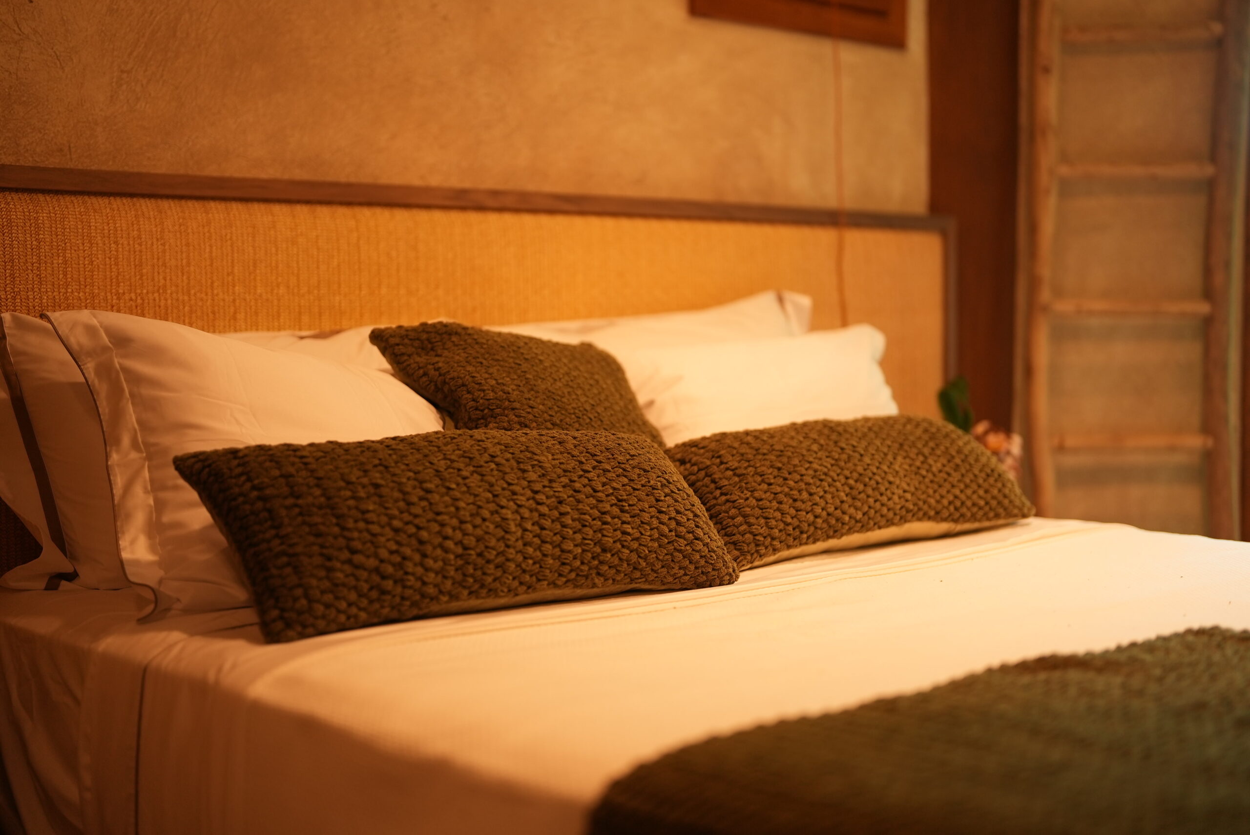 Aluguel casa de luxoSanto André, Villa 03